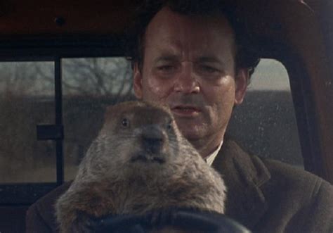 'Groundhog Day' Has Lasted 25 Years Due To Its Unexpected Profundity