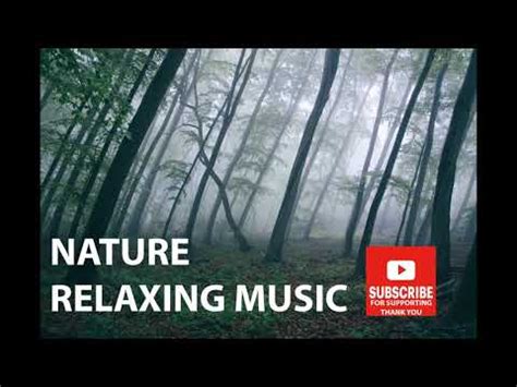 ️️🎵🍀🆓2020 NATURE HEALING MUSIC // MUSIC FOR STUDY - YouTube