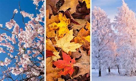 Seasons Photography Ideas and Tips - PhotoJeepers