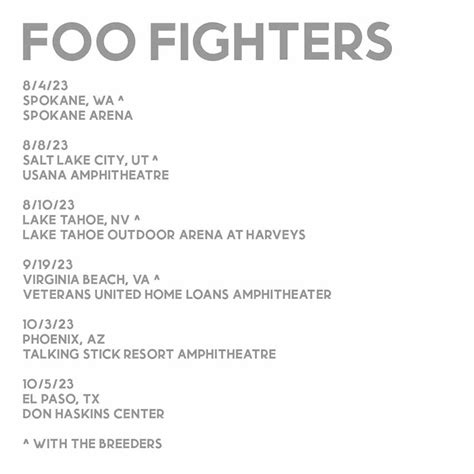 Foo Fighters Milwaukee 2024 Tickets - Aaren Annalee