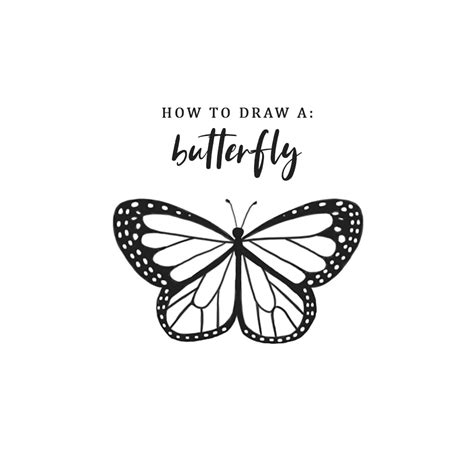 How to Draw a Butterfly: Easy Step by Step Tutorial