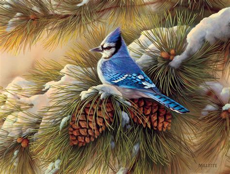 December Blue Jay Boxed Christmas Card , 1004743 | Lang | Bird art, Watercolor bird, Bird prints