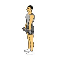 Dumbbell Exercises Complete with Animated Diagrams | Get moving. | Pinterest | Upper body ...