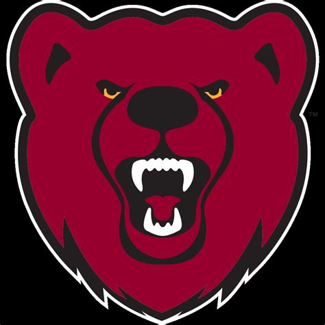 Ursinus College Bears Logo Flag SVG