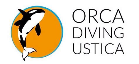 Orca Diving Ustica - All You Need to Know BEFORE You Go