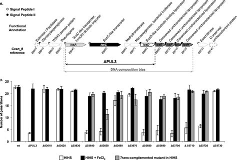 New Iron Acquisition System in Bacteroidetes | Infection and Immunity