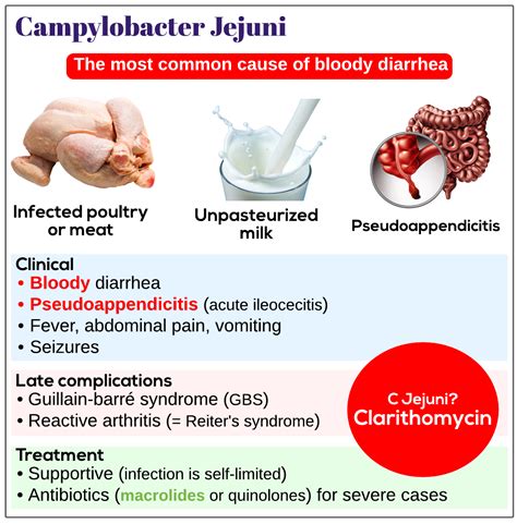 Campylobacter jejuni - Medicine Keys for MRCPs