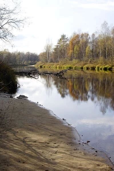 Russian Desman habitat. River Pra, a tributary of river Oka