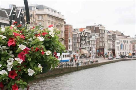 Take A Walking Tour Of Amsterdam, The Netherlands