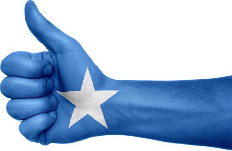 Somalia Flag Transparent Free PNG - PNG Play