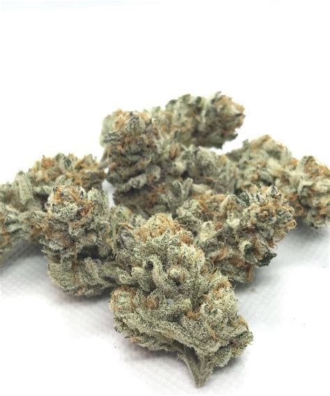 Girl Scout Cookies Strain - Buy Weed online Williamsport - LuckyLeafshop