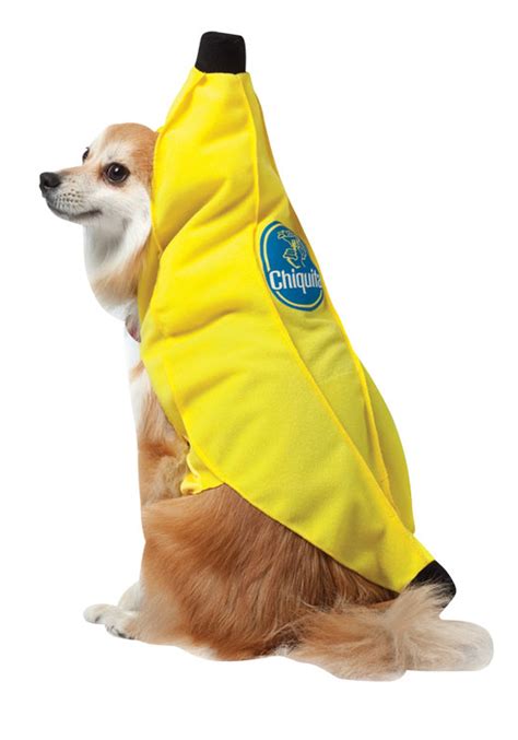 Chiquita Banana Dog Costume