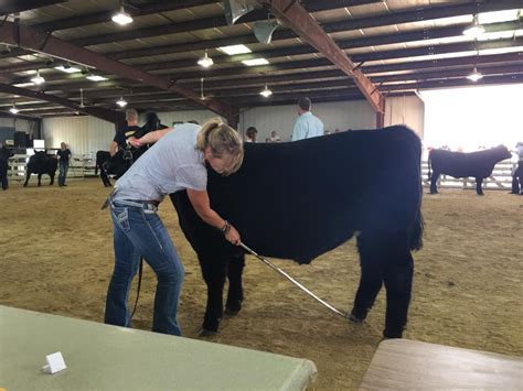 Home [www.clintoncountyiowafair.com]