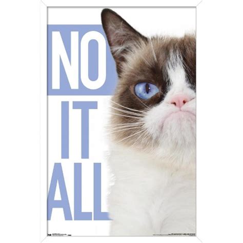 Trends International Grumpy Cat - Blue Framed Wall Poster Prints : Target