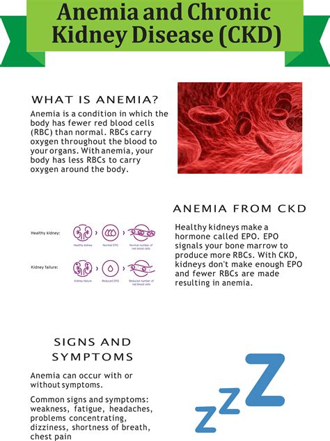 Evolution of Treatment for Anemia in Chronic Kidney Disease - Journal of Renal Nutrition