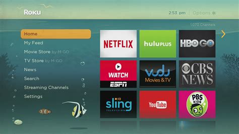 Now Launching: Customize your Roku home screen with new custom Themes including Game of Thrones®