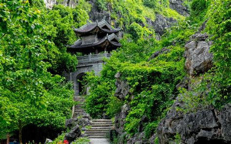 Guide To Explore Ninh Binh Caves | Asia Pioneer Travel