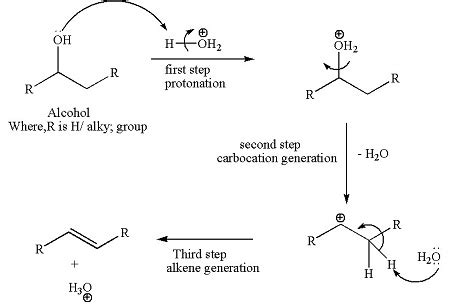 What is the mechanism for the acid catalyzed dehydration of an alcohol ...