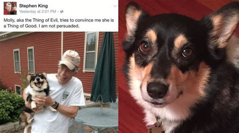 Stephen King Gives his Corgi the Perfect Nickname in Very Funny Dog Tweets | The Dog People by ...