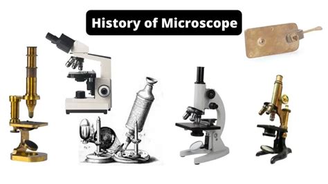 History of the Microscope - Biology Notes Online