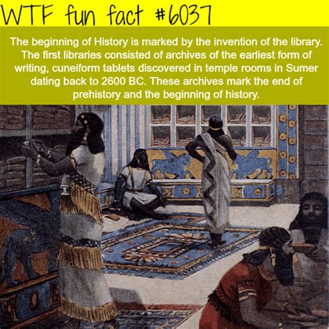 the beginning of history wtf fun facts