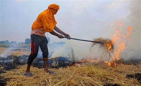 Stubble Burning in India: Causes, Effects & Measures