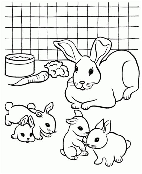 Rabbit Coloring Pages - Coloring Home