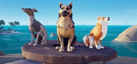 The Best Dogs in Sea Of Thieves (Ranked) – FandomSpot