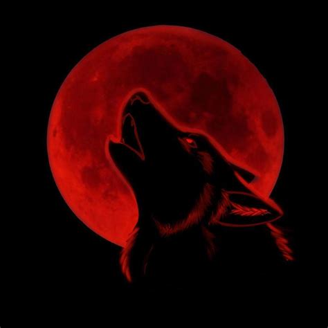 Blood Wolf Wallpapers - Top Free Blood Wolf Backgrounds - WallpaperAccess