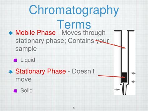 PPT - What’s In Your Water?? PowerPoint Presentation - ID:6901406