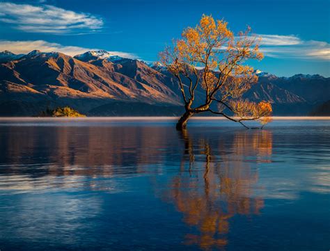 Wanaka Tree at Sunrise | Photo to art, Sunrise, Photo