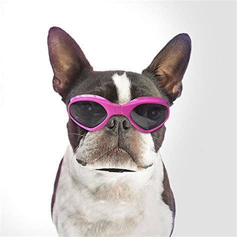 Best Dog Sunglasses - Buying Guide | GistGear