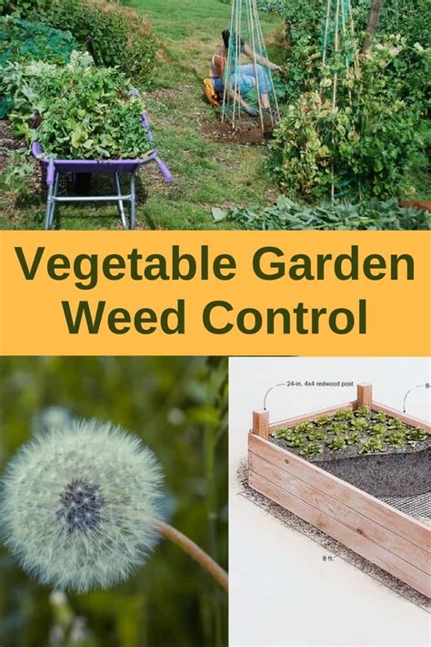 Vegetable Garden Weed Control