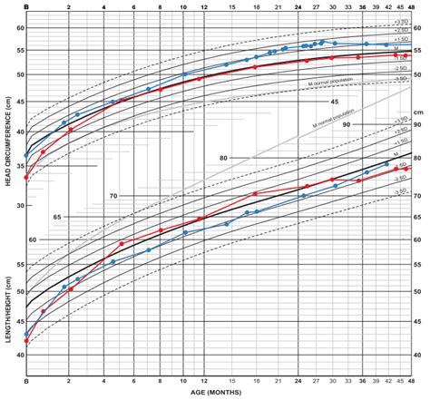 Fetal Growth Chart Head Circumference