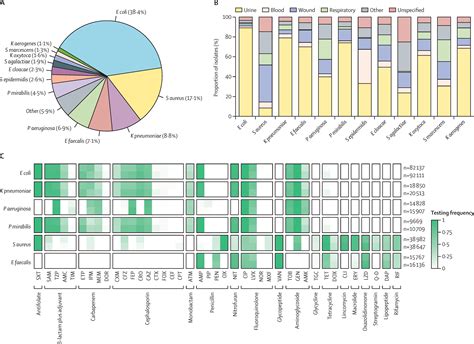 Identification of antibiotic pairs that evade concurrent resistance via ...