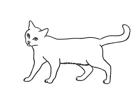 How to draw a Cat walking step by step – Easy Animals 2 Draw