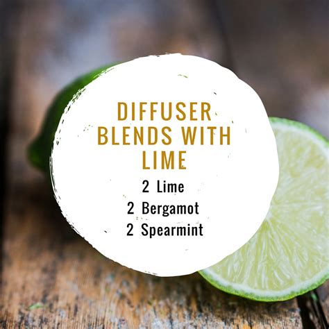 Diffuser Blends with Lime – Diffuser Essentials