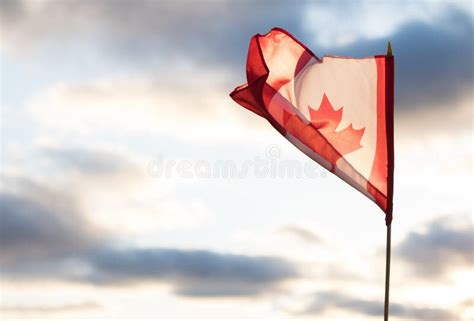 Canadian flag waving stock image. Image of patriotism - 122388013