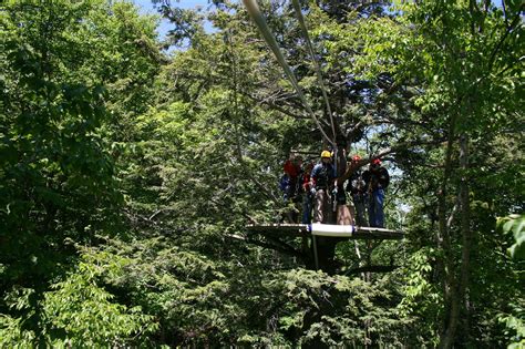 Bretton Woods Canopy Tour - ATUALIZADO 2022 O que saber antes de ir ...