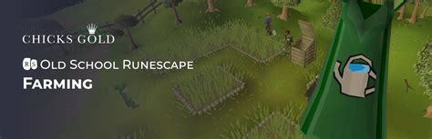 1-99 OSRS Farming Guide: Mastering the Art of Harvesting - Chicks Gold