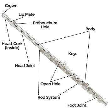 Parts Of A Flute Diagram