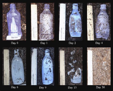 Biodegradation of PLA bottles in real composting conditions. [Reprinted... | Download Scientific ...