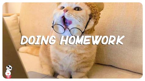 Songs to listen to while doing homework ~ Best relaxing songs for studying #2 - YouTube