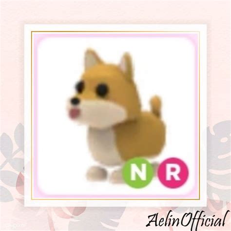 Beli Item Shiba Inu NR - Adopt me Roblox Terlengkap dan Termurah Juli 2024 938579 | itemku