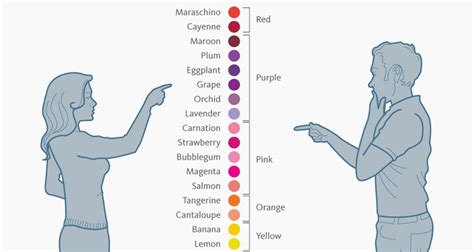 Male Vs Female Color Perceptions And Preferences