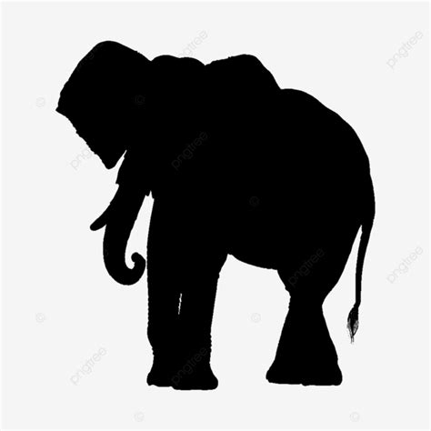 African Elephant Silhouette, Elephant Art, Elephant Vector, Elephant PNG Transparent Clipart ...