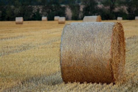 Hay harvest | Hay harvest in a field near Benice, south east… | Flickr