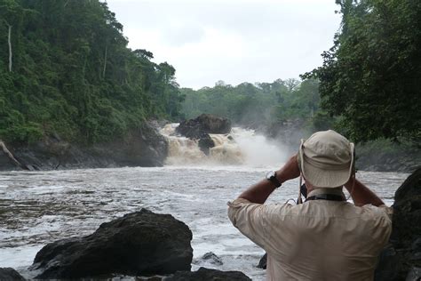 MOKELE - MBEMBE EXPEDITIONS: NKI - MOKELE - MBEMBE EXPEDITION - Janvier 2016