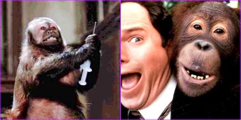 10 Best Monkey Appearances In Movies (Ranked By IMDb)