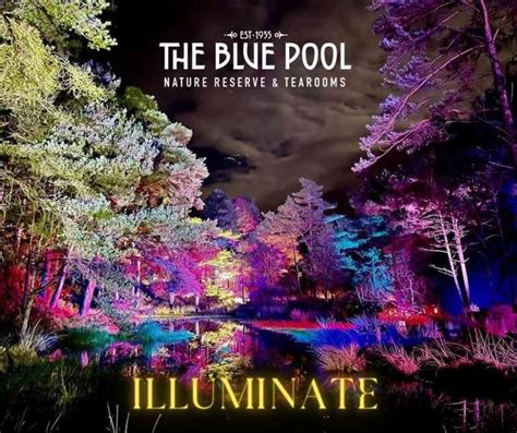 ILLUMINATE at The Blue Pool - Visit Dorset